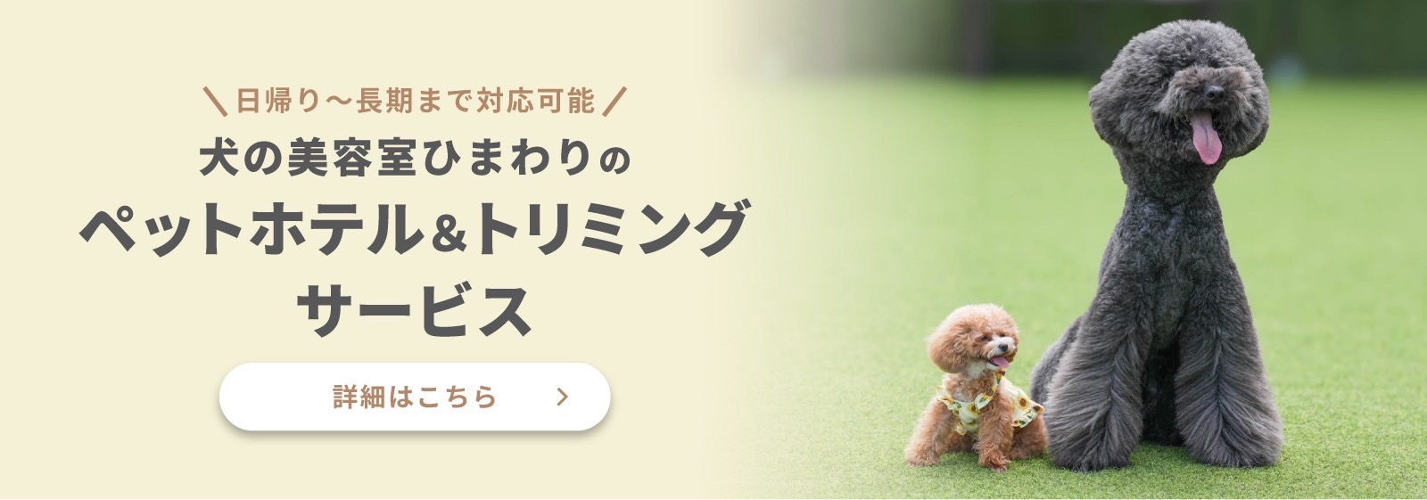 犬の美容室ひまわりのペットホテル＆トリミングサービス